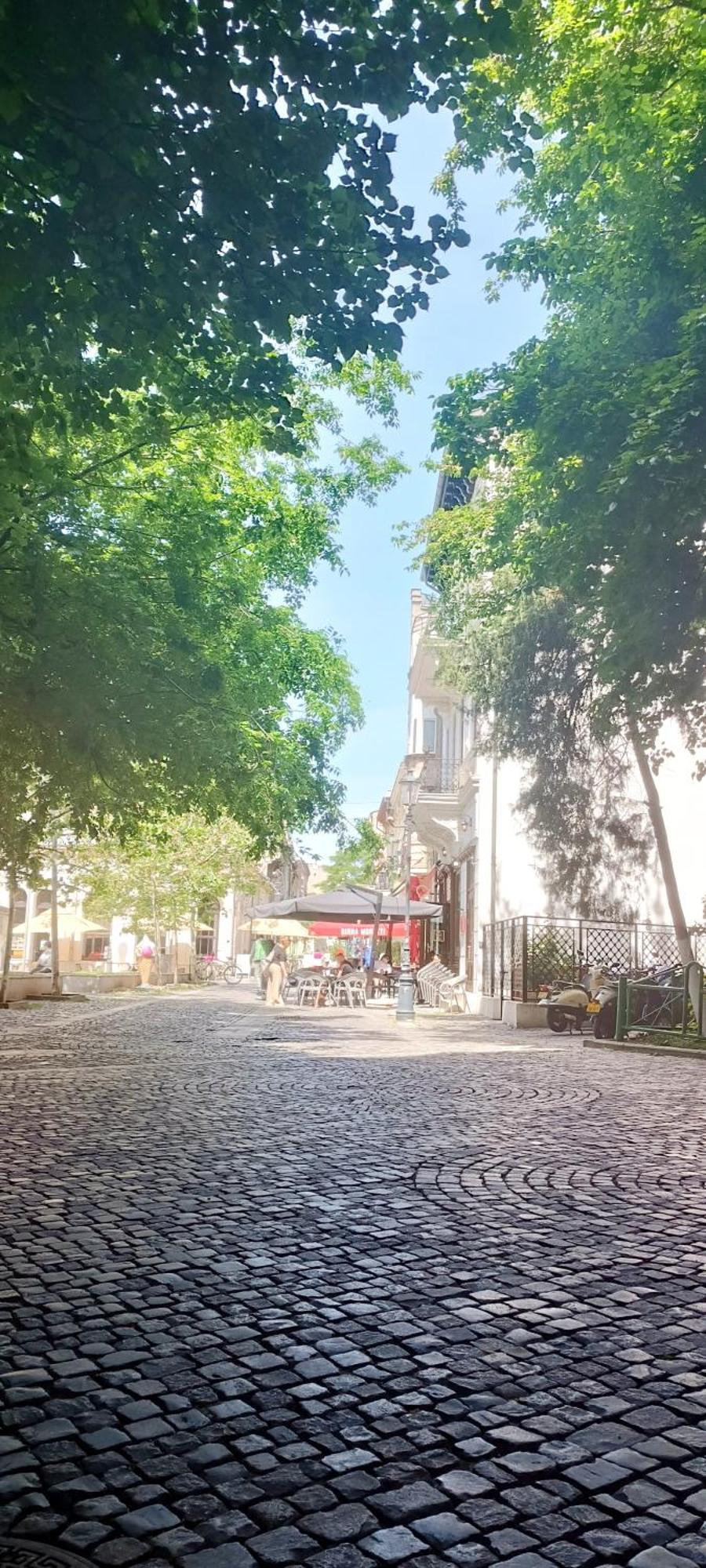 Enchanting Retreat - Historic Old Town - Pet-Friendly Haven - Steps From Unirii Bucareste Exterior foto